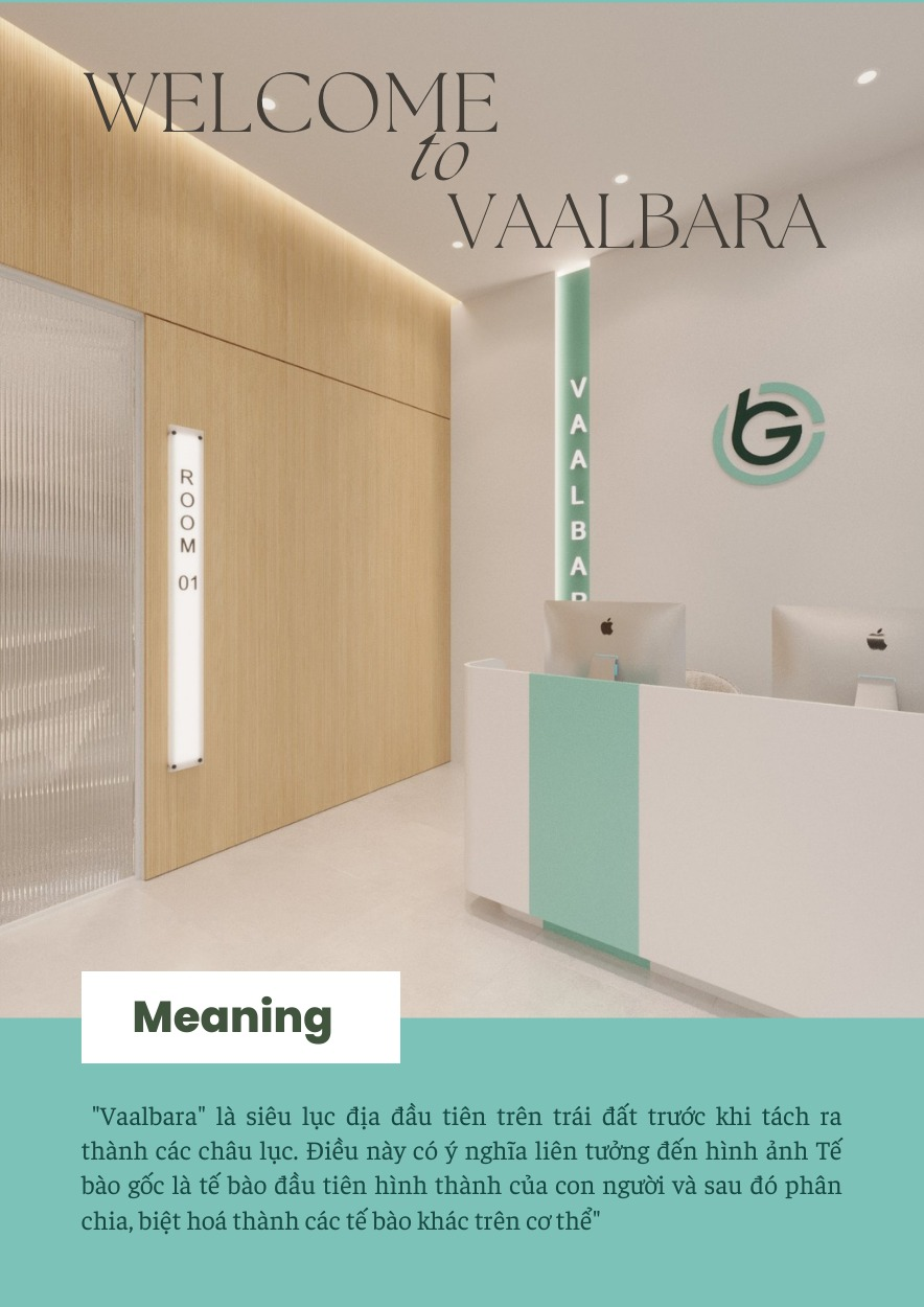 Công ty Vaalbara
