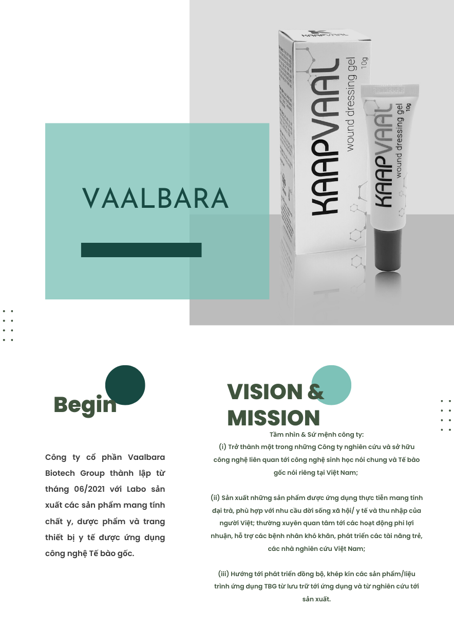 Công ty cổ phần Vaalbara